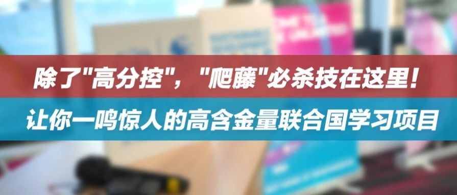 除了＂高分控＂，＂爬藤＂必杀技在这里！让你一鸣惊人的高含金量联合国学习项目
